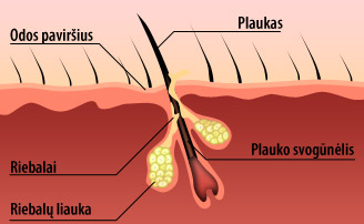 Follixin maisto papildai nuo plauku slinkimo, tai idealus sprendimas